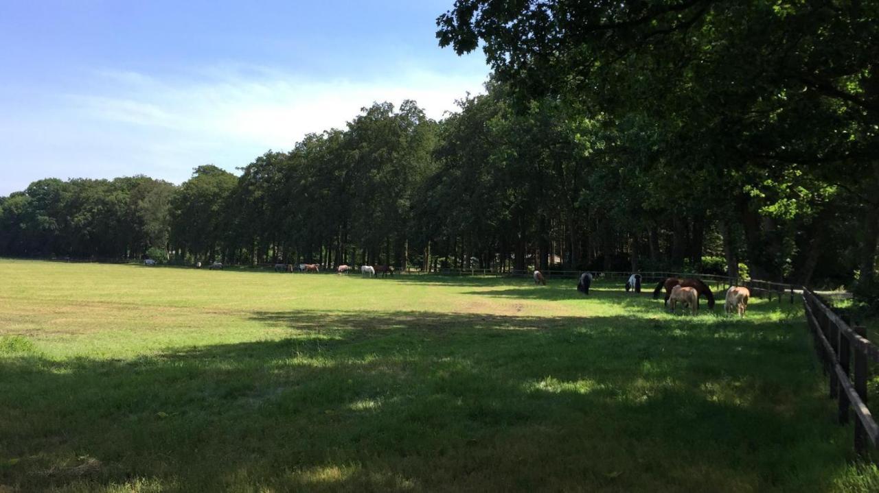 Boerderij De Enkhoeve Laag-Soeren 外观 照片